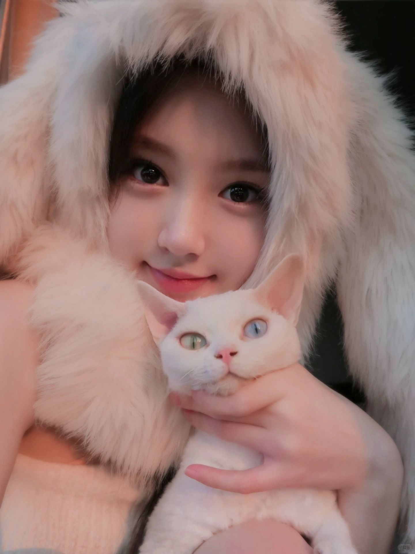 (*ฅ́˘ฅ̀*)♡