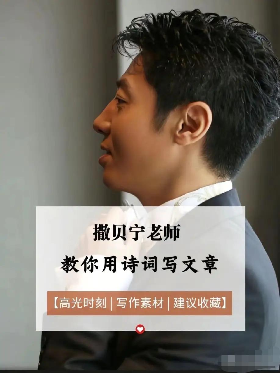 很多人说，撒贝宁的文字，温柔又有力量，初读惊艳，再读直击人心。他从不说大道理，却