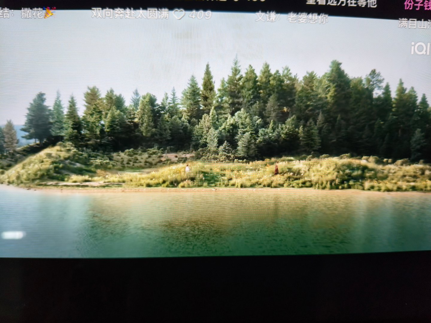 家业已看完好舍不得啊