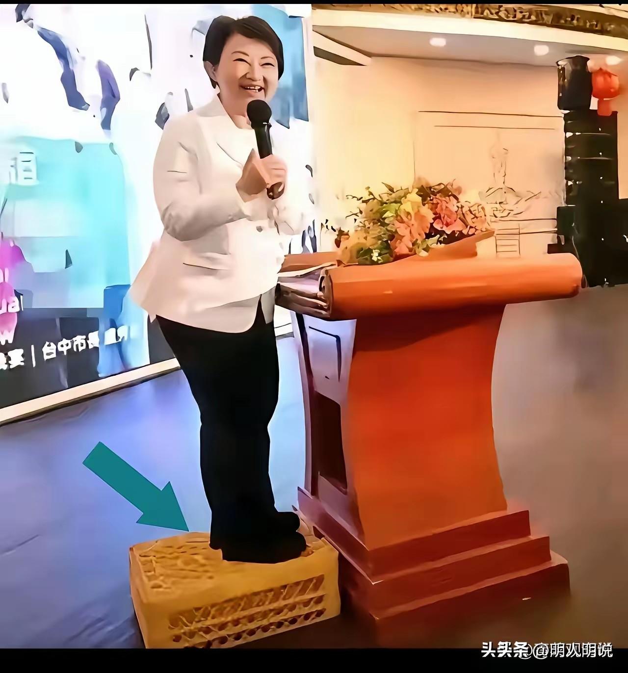 卢秀燕：在美国放声讲台湾安全，几个意思？
 
很多人都在问，卢秀燕这次在美国谈台
