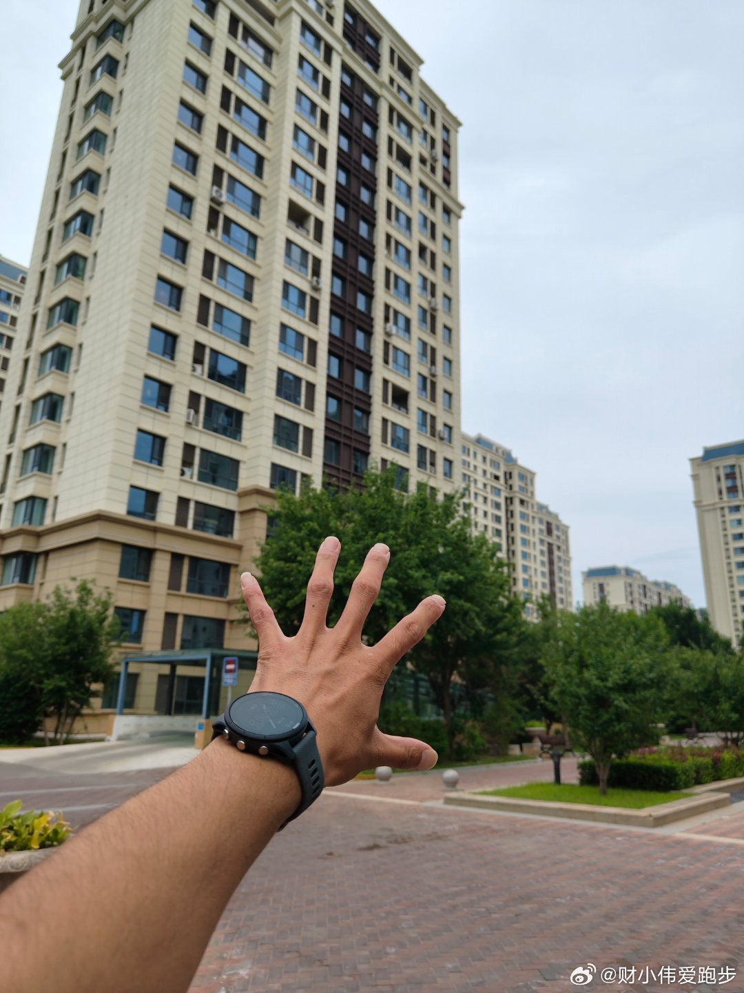 小伟安全到家。上午跟同事在北京体育大学，参加完奥林匹克日的活动。我们10点多分开
