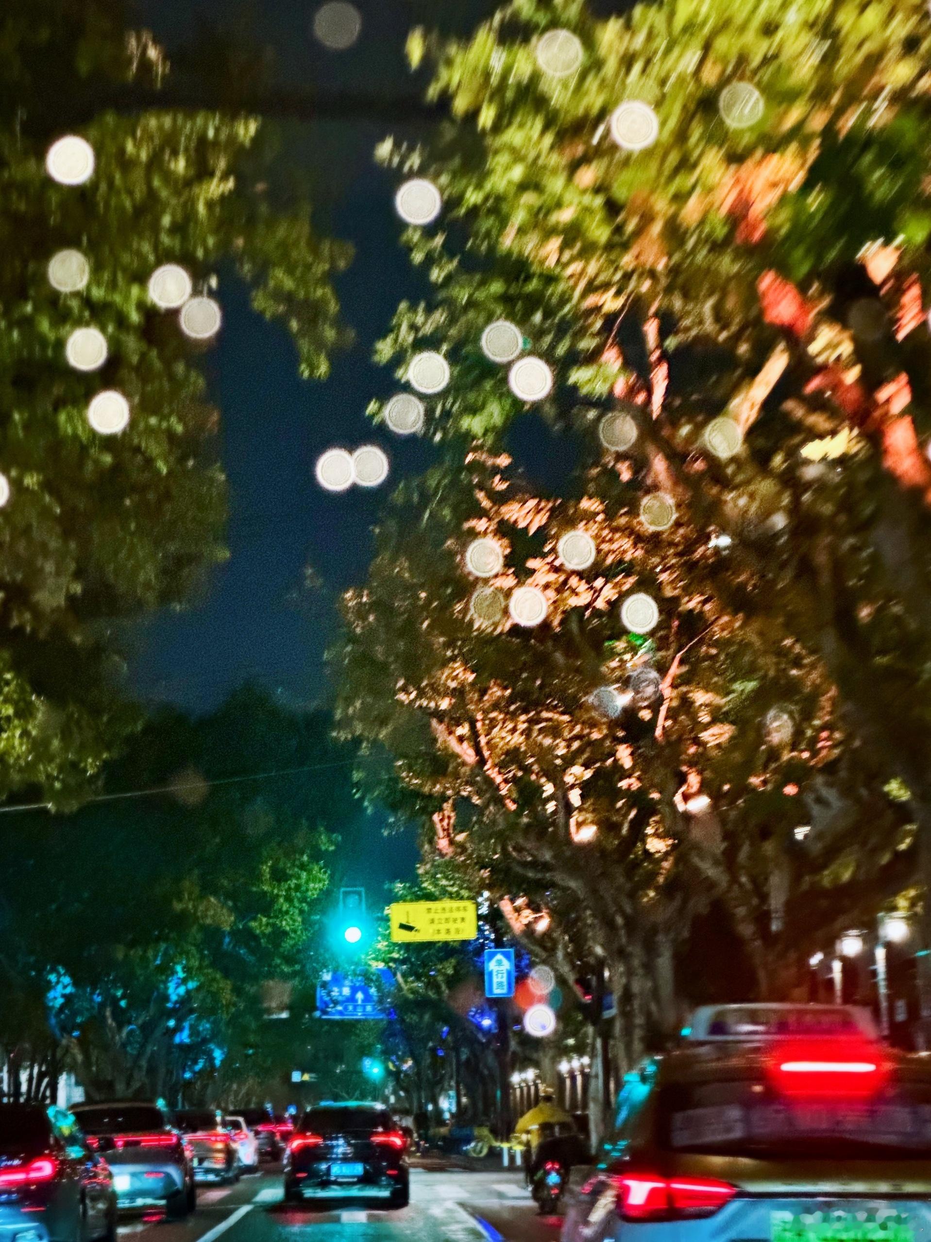 金虹桥里的有乐町，一条走廊两边全是日料。有的做烧鸟，有的做大阪烧，寿喜锅，但其实