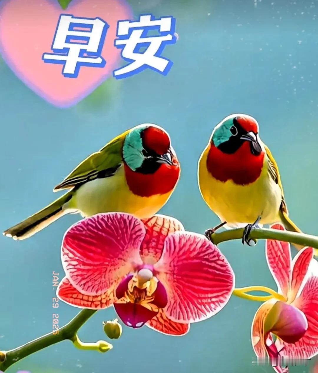 迎新春桃符换红颜。