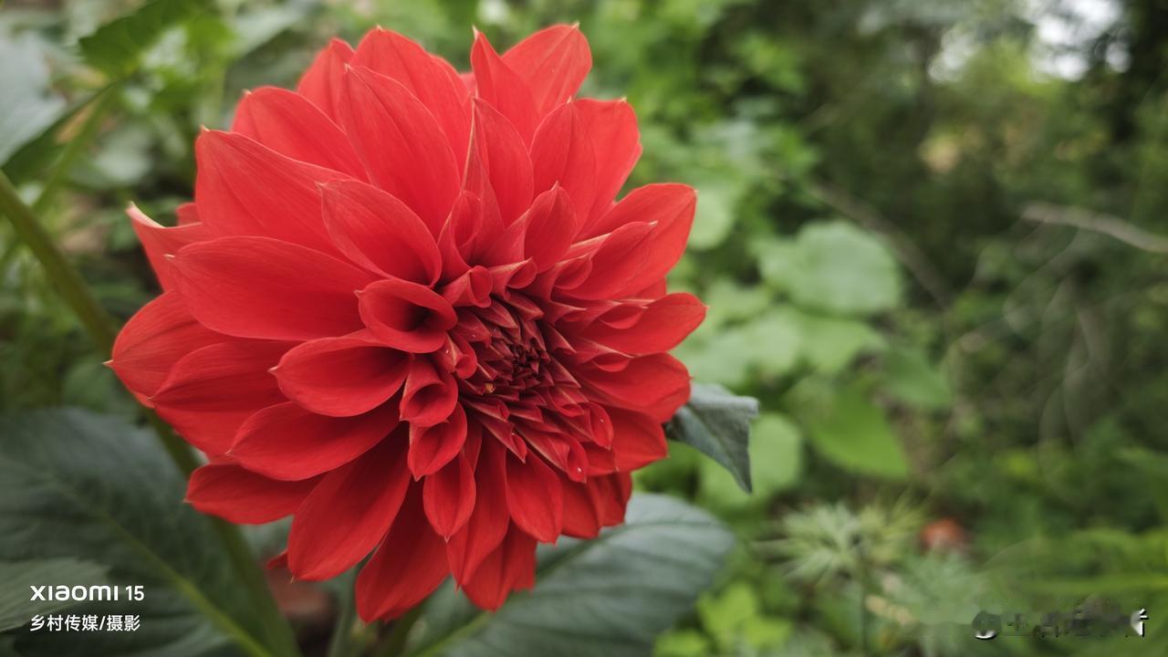 记录生活，随手拍张照实拍随手拍 绝美随手摄影 生活记录拍照