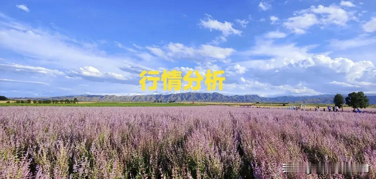 日常分析：胖大海、延胡索回升，西红花进口受阻，甘草震荡，香料类转平缓

市场方面