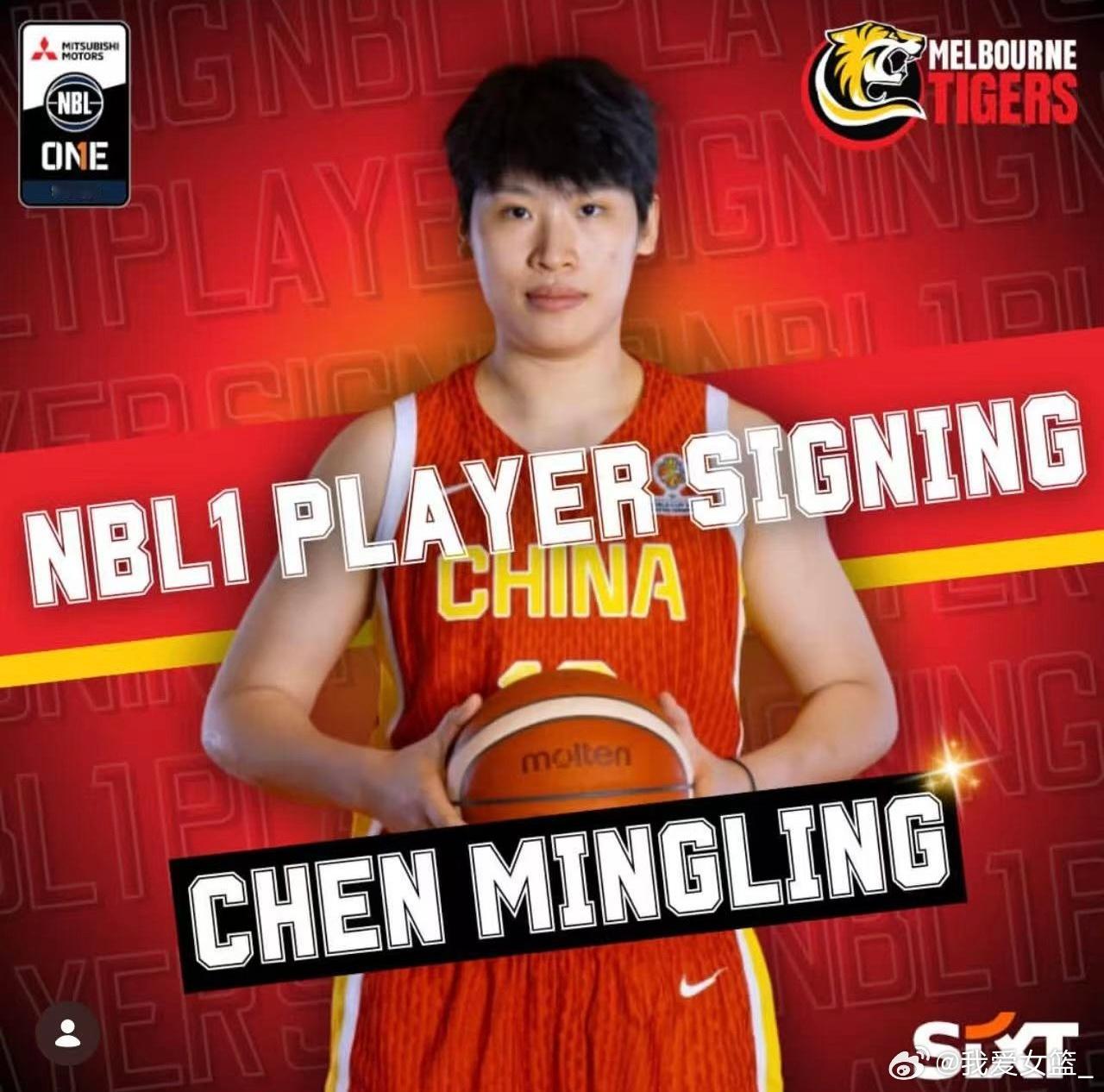 【陈明伶签约墨尔本老虎 携手杨舒予征战NBL1】今天上午，墨尔本老虎官宣了陈明伶