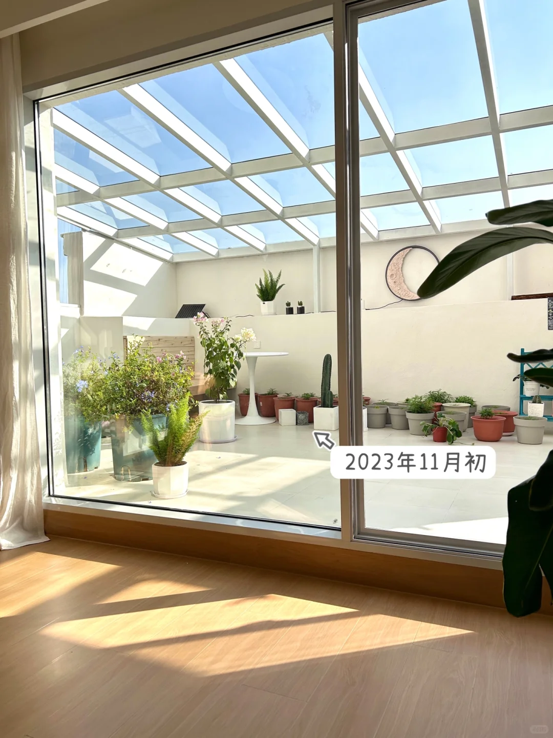 🔥阳台改造｜花200+变成了一个阳台花园