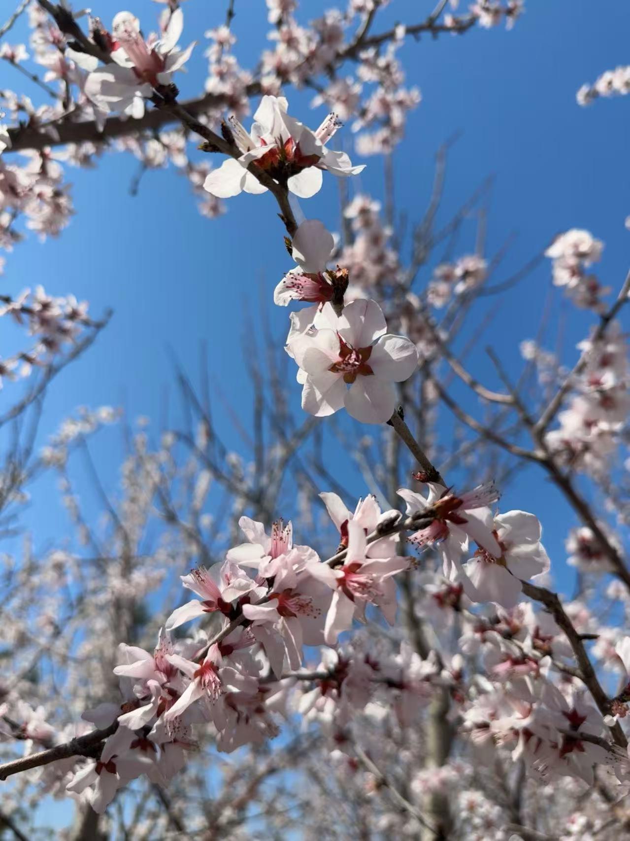 上几天拉了一个乘客，说是换酒店，她之前住在德州开发区一家以温泉出名的酒店，说是连
