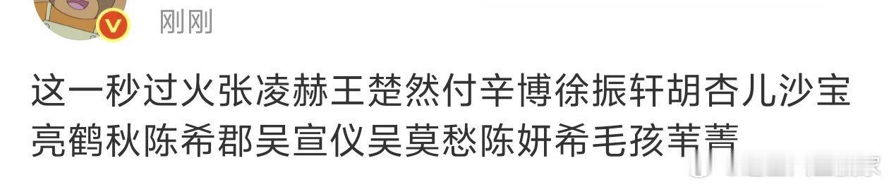 网传『这一秒过火』主演阵容：张凌赫，王楚然，付辛博，徐振轩，胡杏儿，沙宝亮，鹤秋