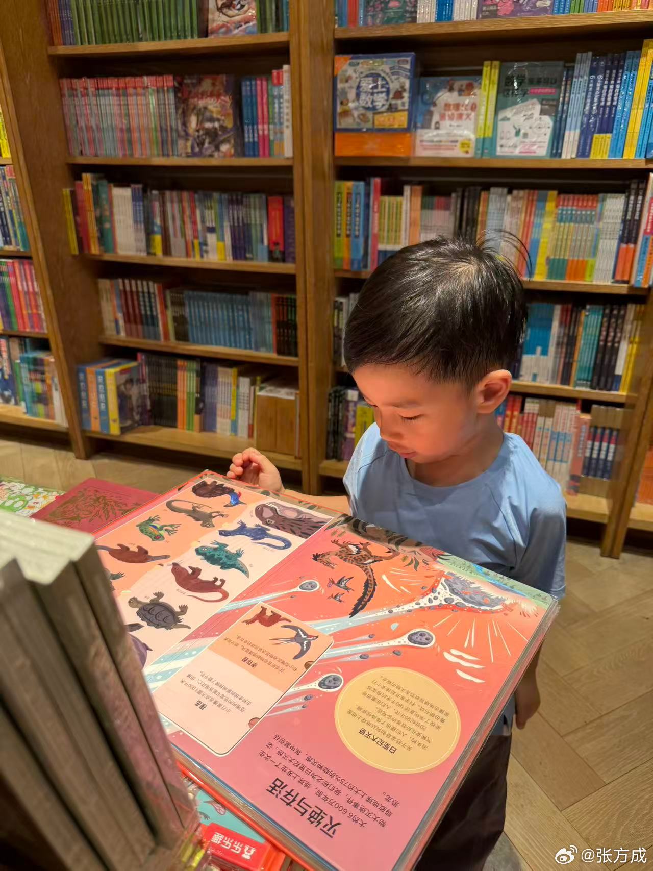 何猷君儿子幼儿园每年学费杂费超10万现在据我了解全国各地私立幼儿园好一点的老师对