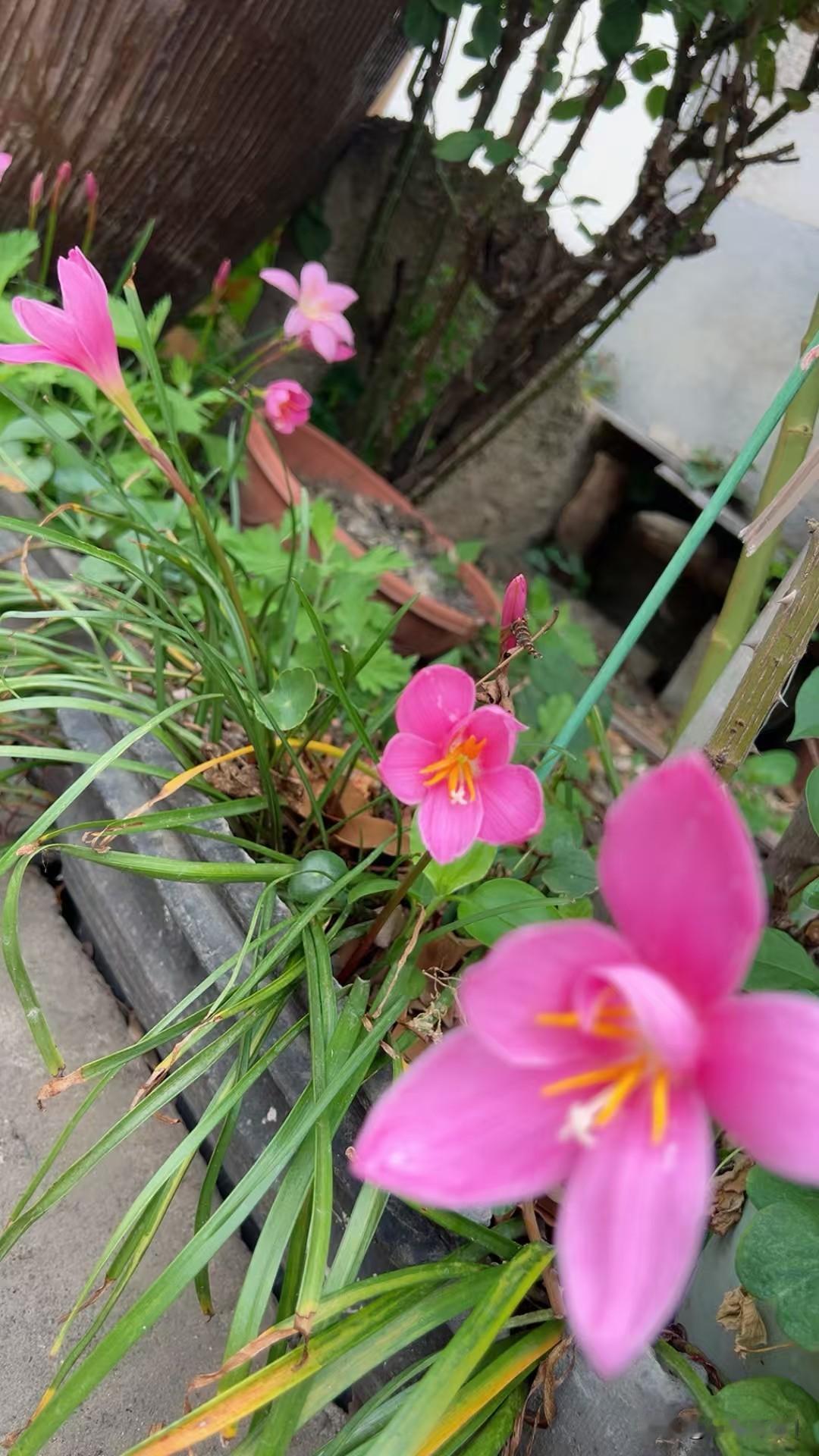 以前总喜欢过阵组个饭局，现在一来无这心，二来也找不到合适的人，好在阿华可以联系一