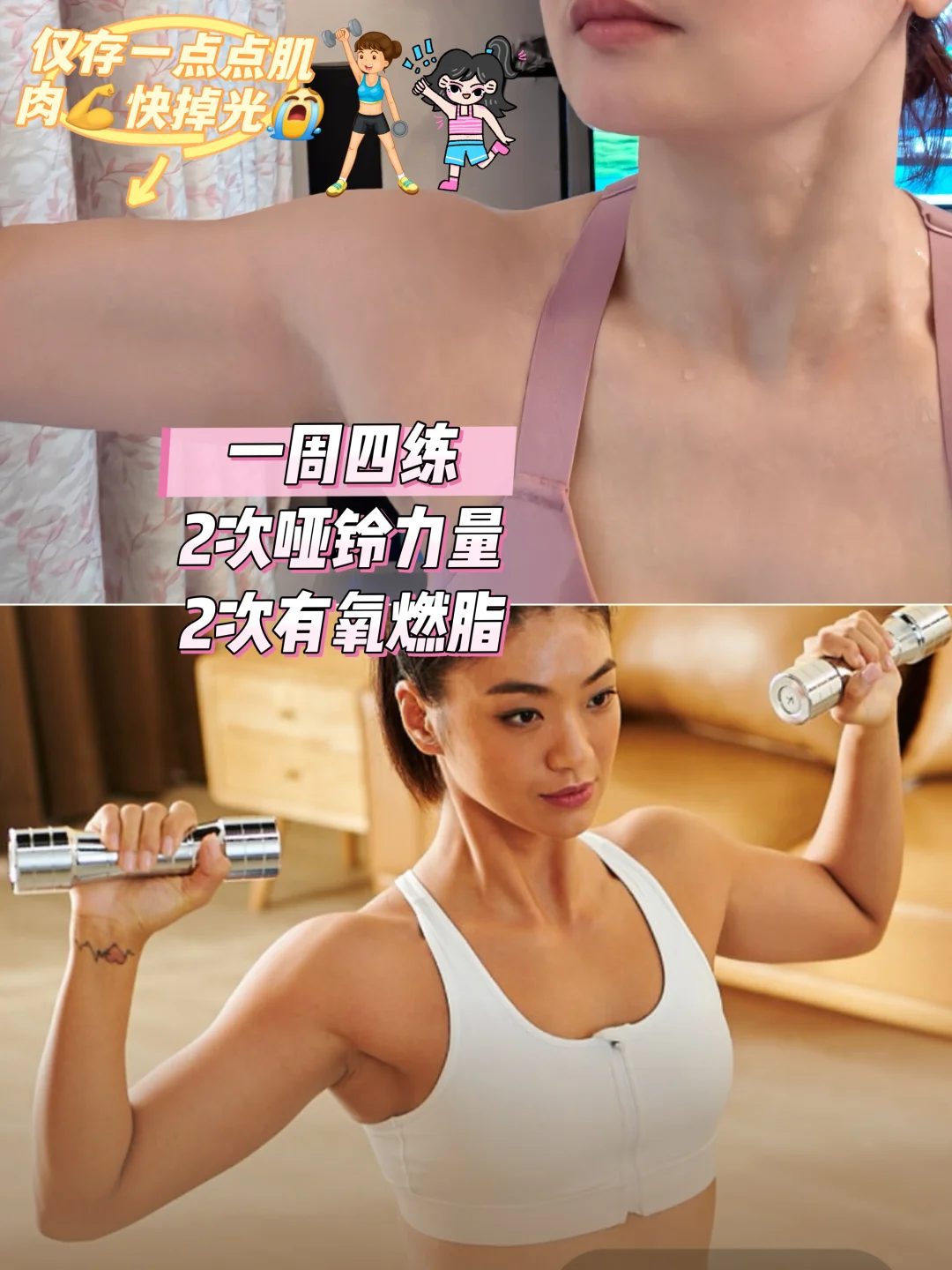 一周四练｜停训两周肌肉几乎掉光｜D22-25