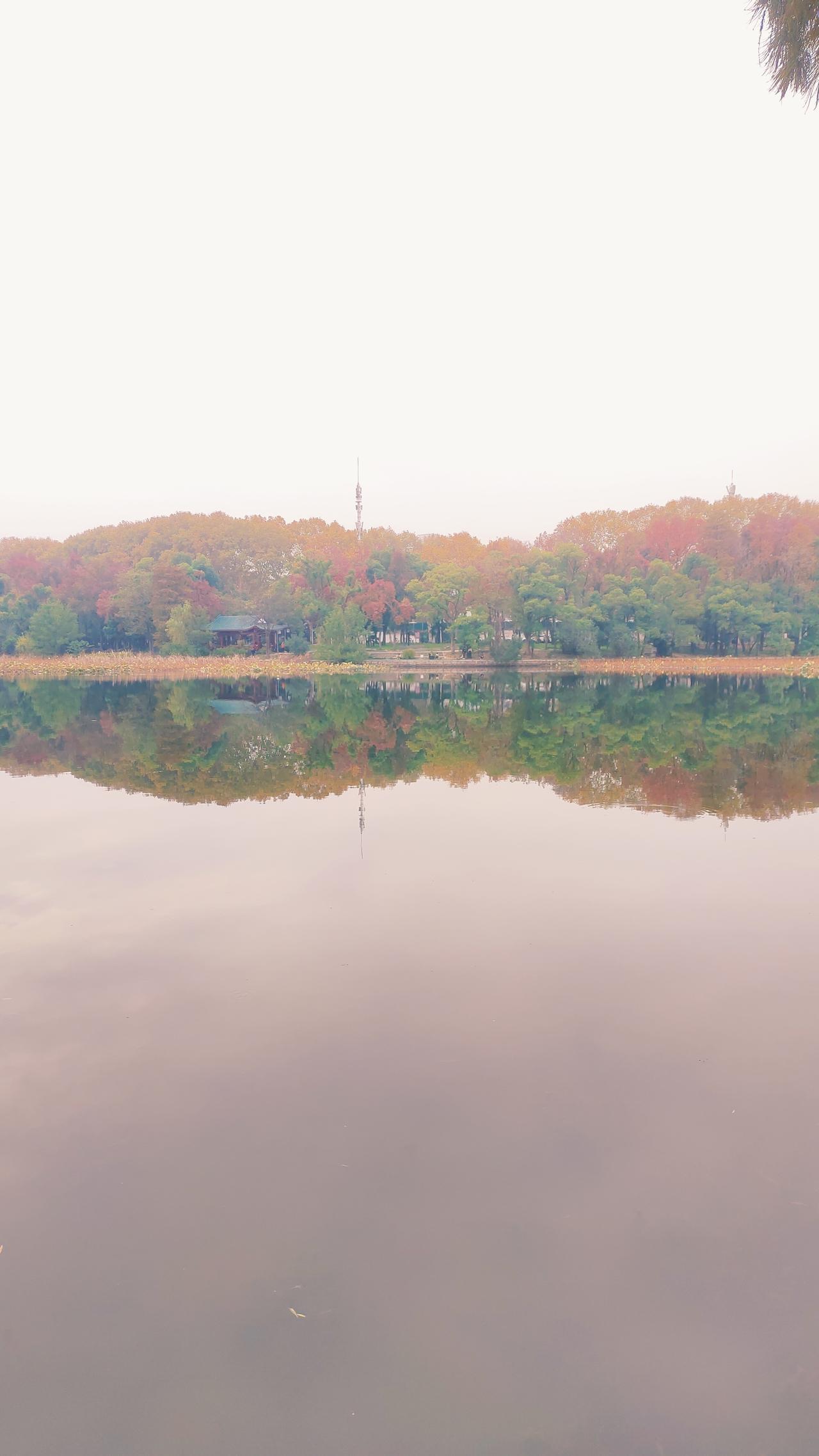 家里有蟑螂别着急，在角落放一物，蟑螂来多少灭多少，方法太实用了

新房子开始住的