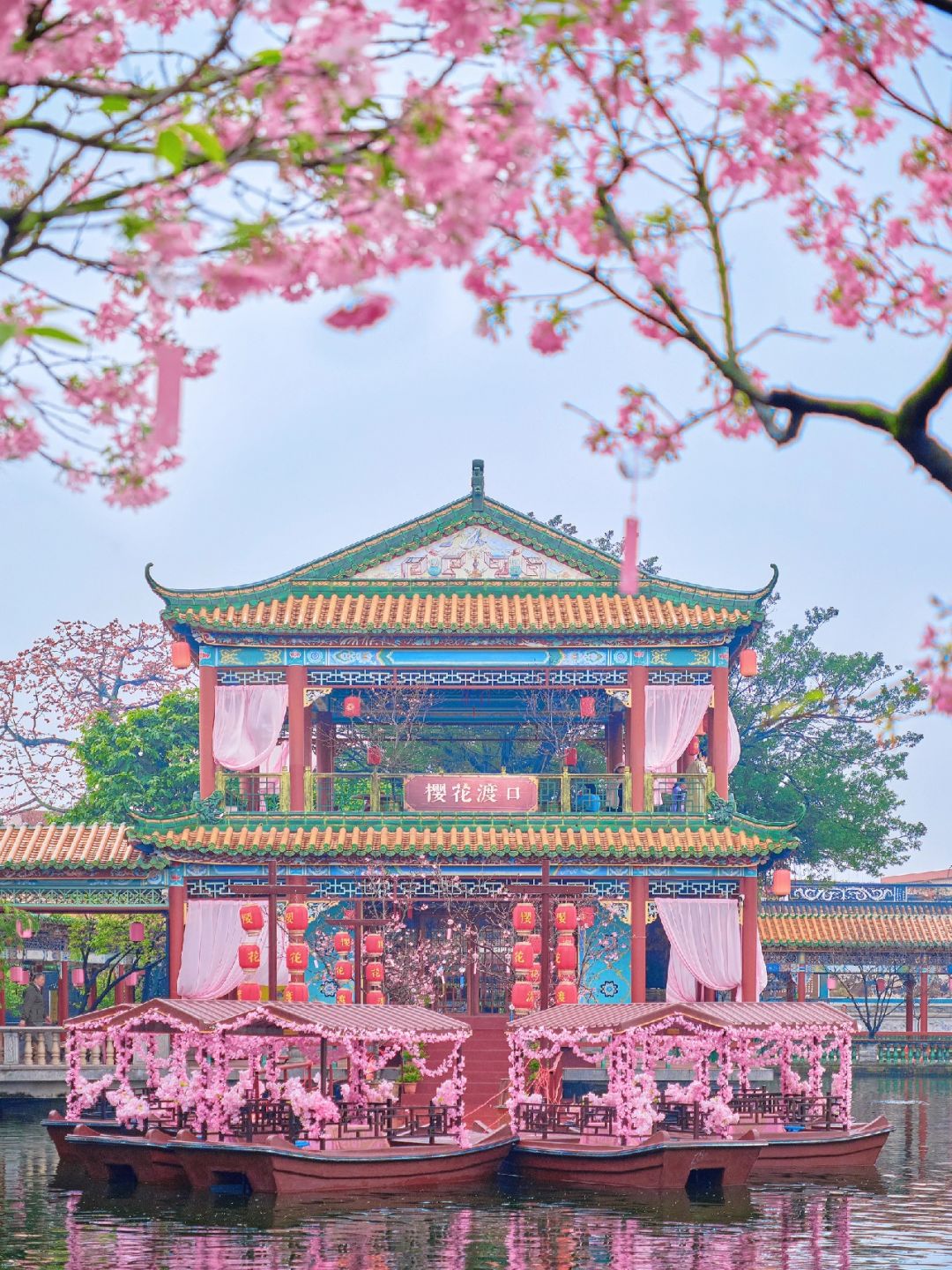 广州这里的古风樱花🌸春日的氛围太浪漫了💕