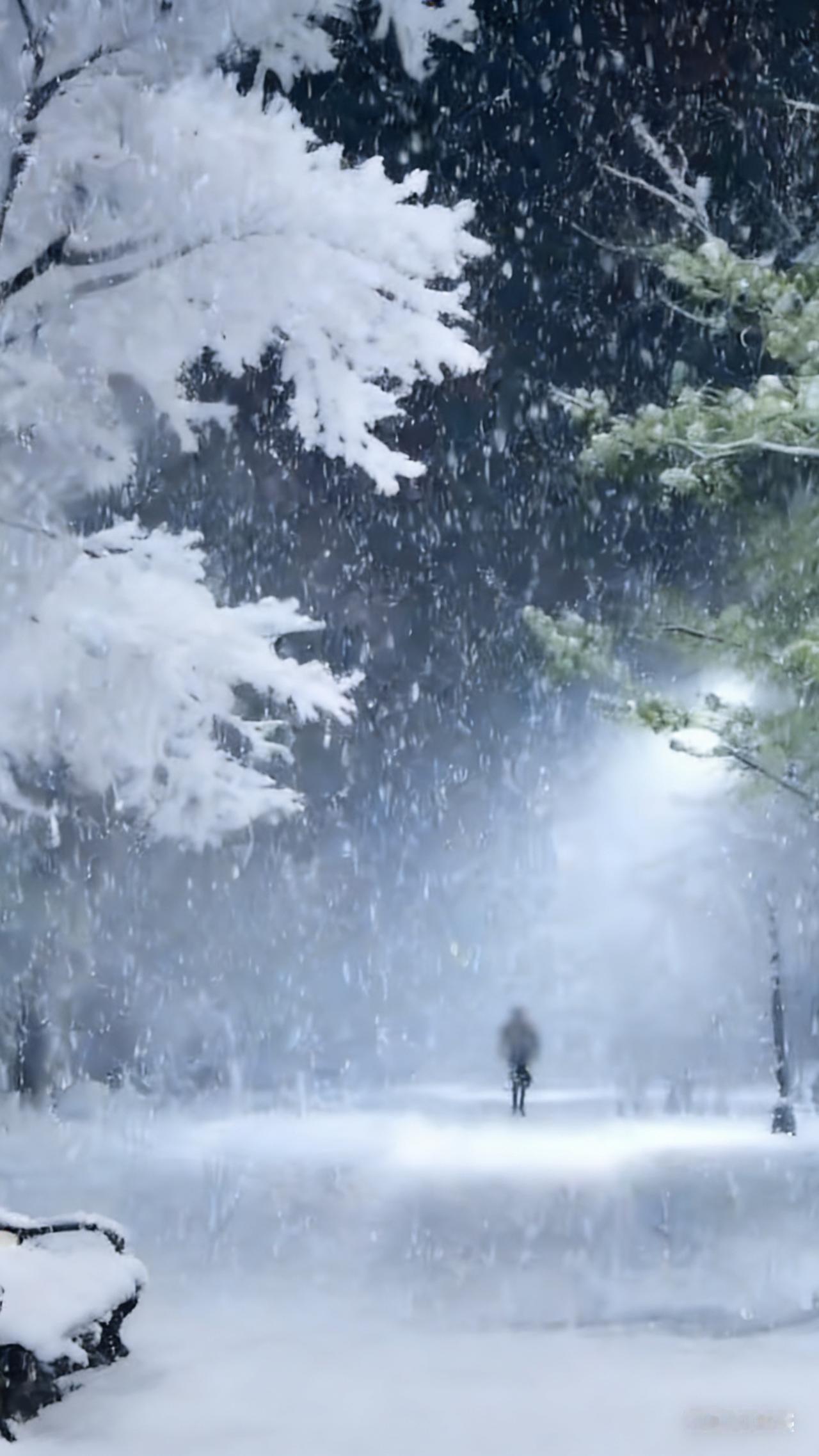 晒一下你相册里的雪景照片吧