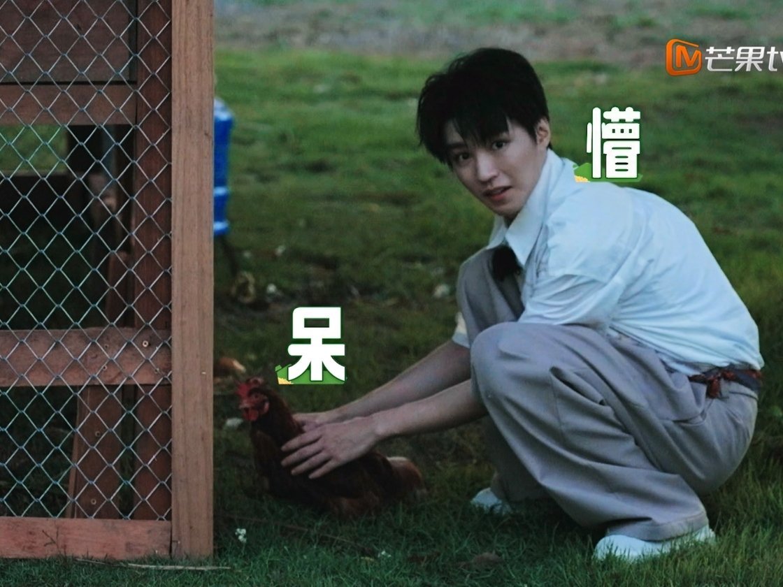 突然想到第一期 好萌啊 