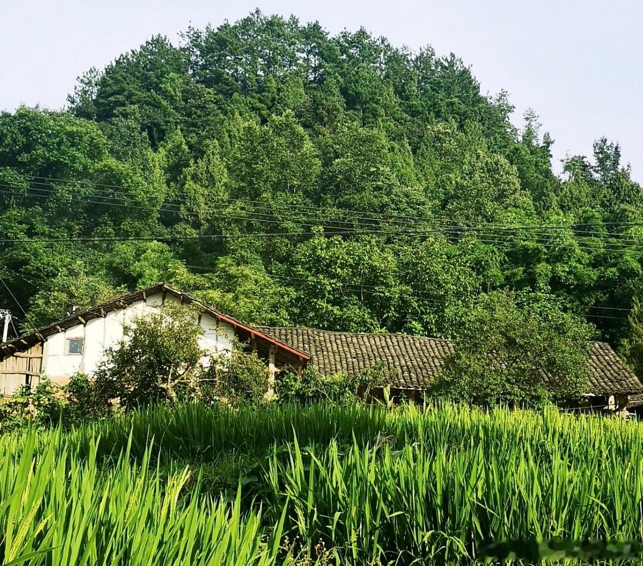 经常剖析自己的父母和原生家庭合适吗？夫以铜为镜，可以正衣冠；以史为镜，可以知兴替