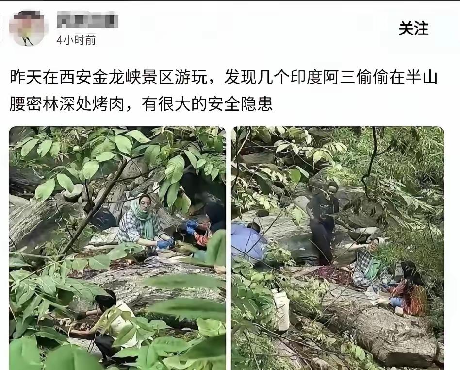 太让人气愤！印度这是把我们的森林当成他们自家后院了吗？
秦岭防火区里竟有印度籍人