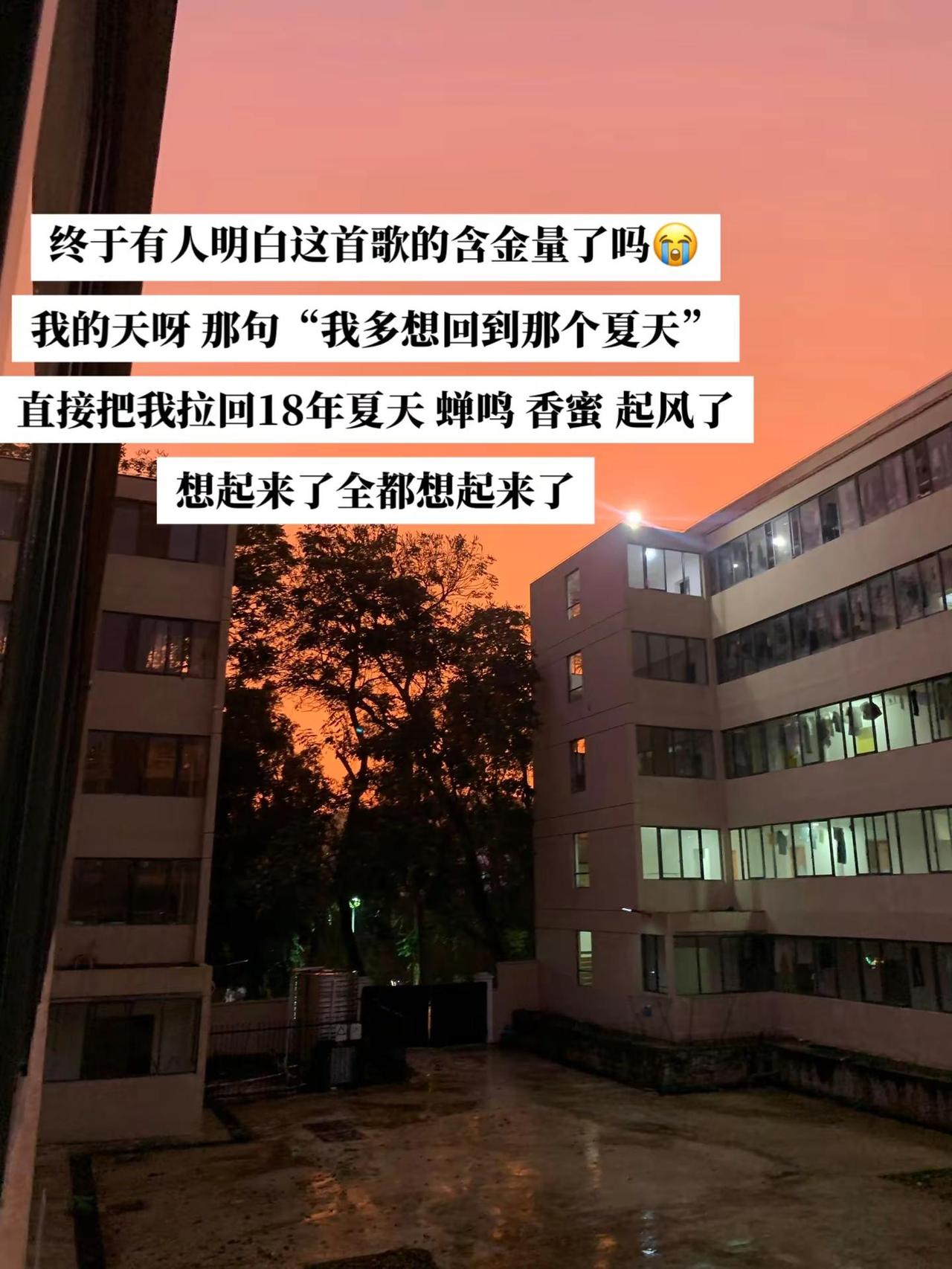 那你呢 最想回到哪个夏天