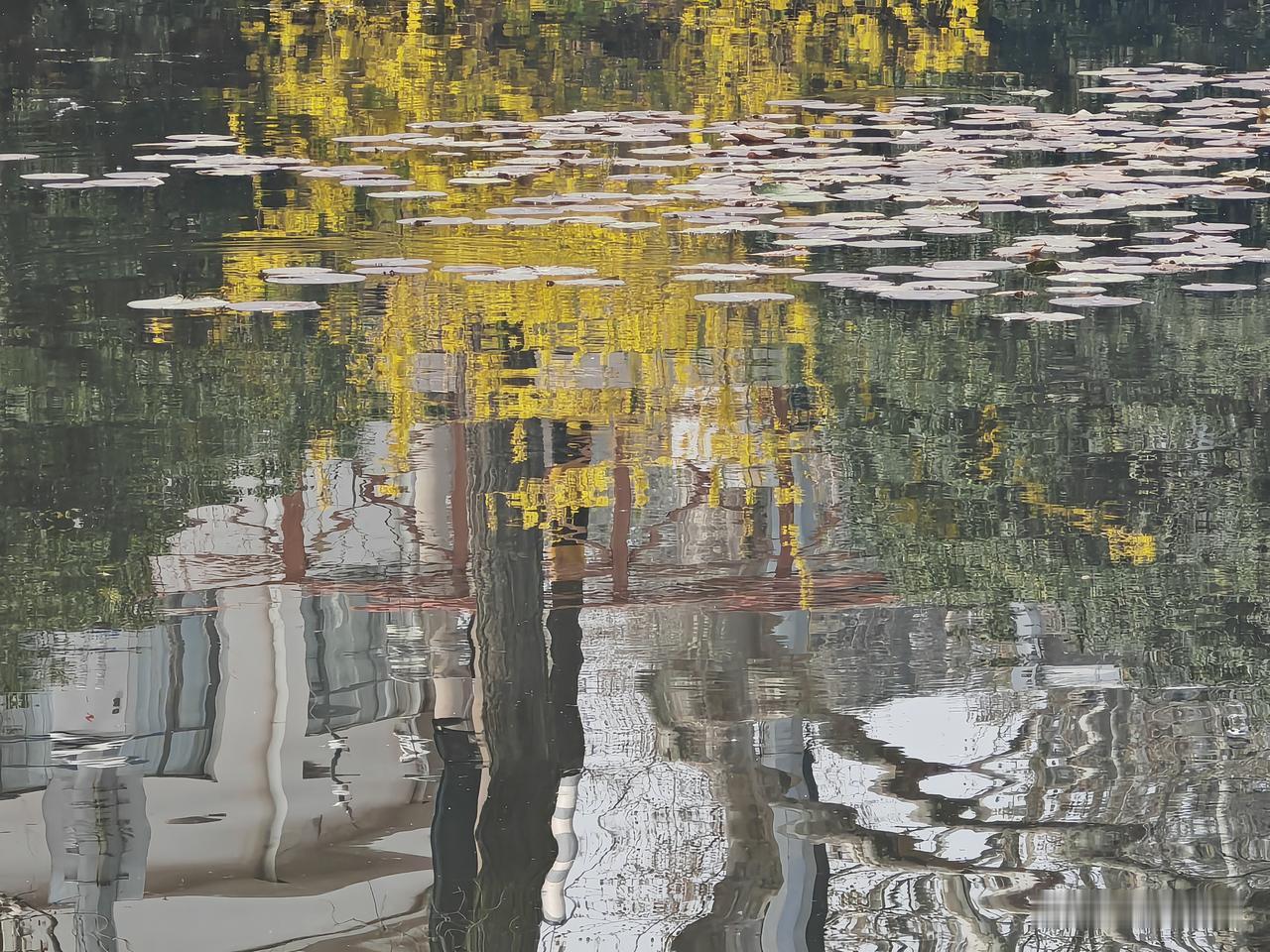 一位哲人说：我从来都不相信，一个违背社会公德、只顾自己方便而乱扔垃圾的人，会成为