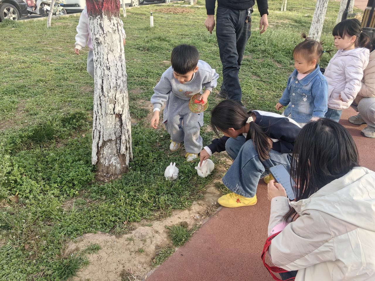 可爱的小兔子，公园里的三伙伴[送自己一朵花][送自己一朵花]