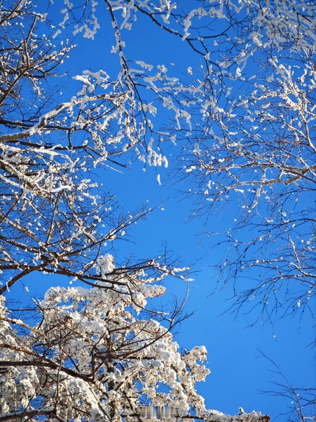 在冰雪的梦幻国度，每一步都踏入仙境，每一帧都是绝美大片雪后初霁，世界仿若梦幻之境