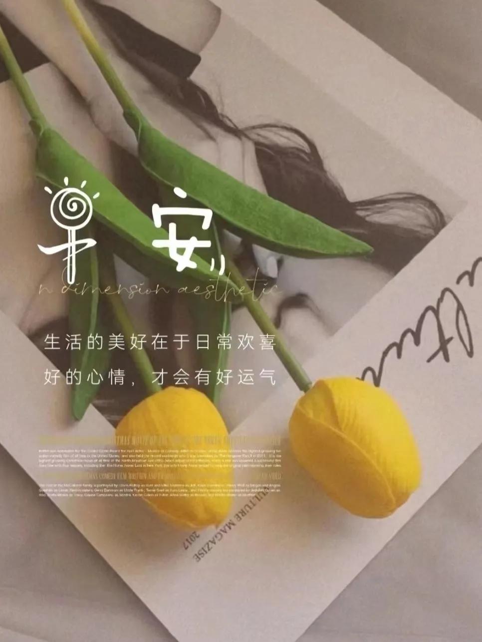 📝²⁰²³/₃.₂₅🌷⡱. 𝒔𝒎𝒊𝒍𝒆 ᵕ̈

把每个清晨当成礼物
