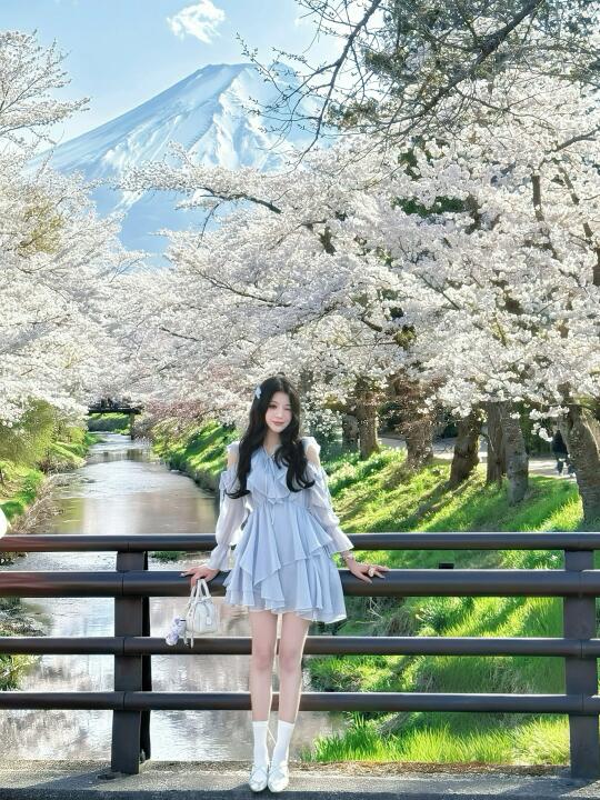 🇯🇵富士山下的樱花满开了⋆.✮ 🗻
