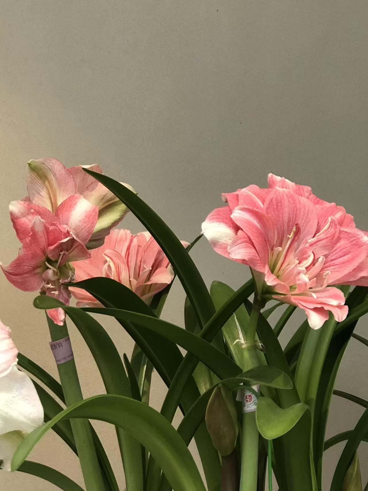 人最难悟透和看破的是什么? 人最难悟透和看破的，一是平凡真相，二是“求而不得”的