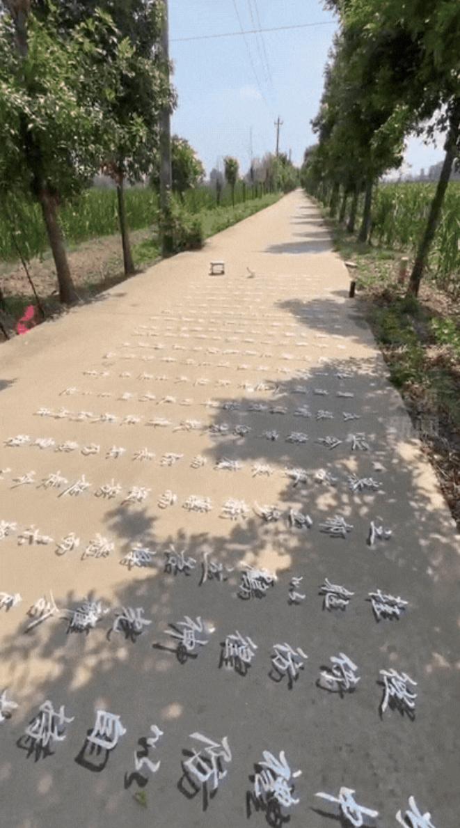 “终于火到央视了！”河南周口男子大热天搬板凳到田间，用黑白颜料“画”出裸眼3D悬