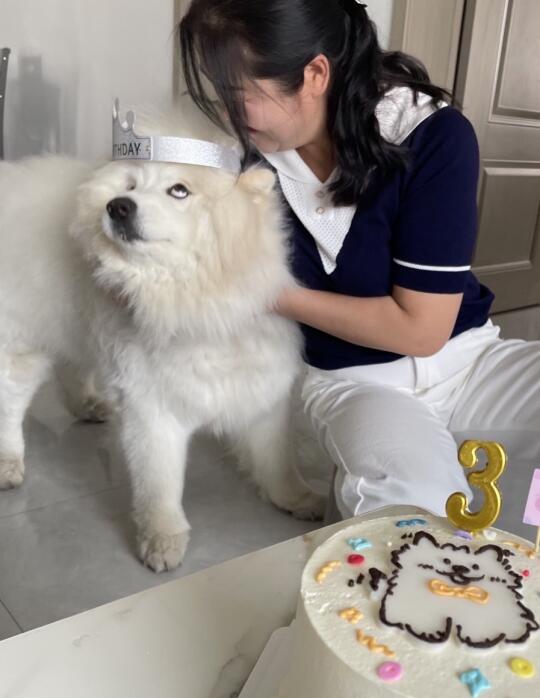小狗漏眼白真的好可爱啊！