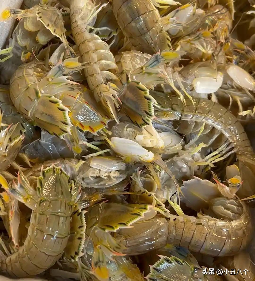 马栏市场海鲜价格，虾爬子128一斤，哪来的不知道，飞蟹子应该是南方的，南方开海了
