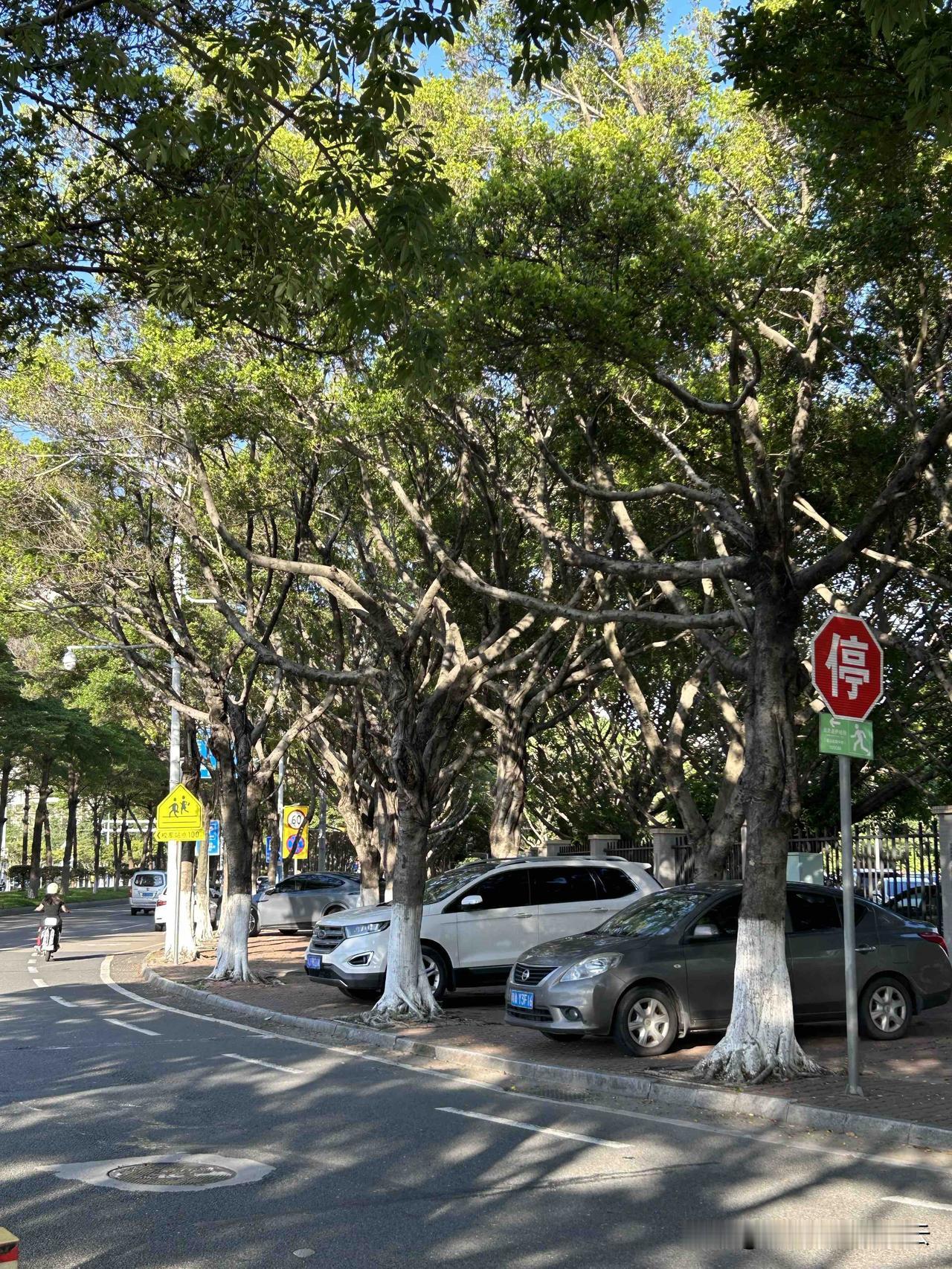 很多人都觉得自媒体不行了吧？

这些所谓的很多人的判断，真的值得相信吗？暂且先不