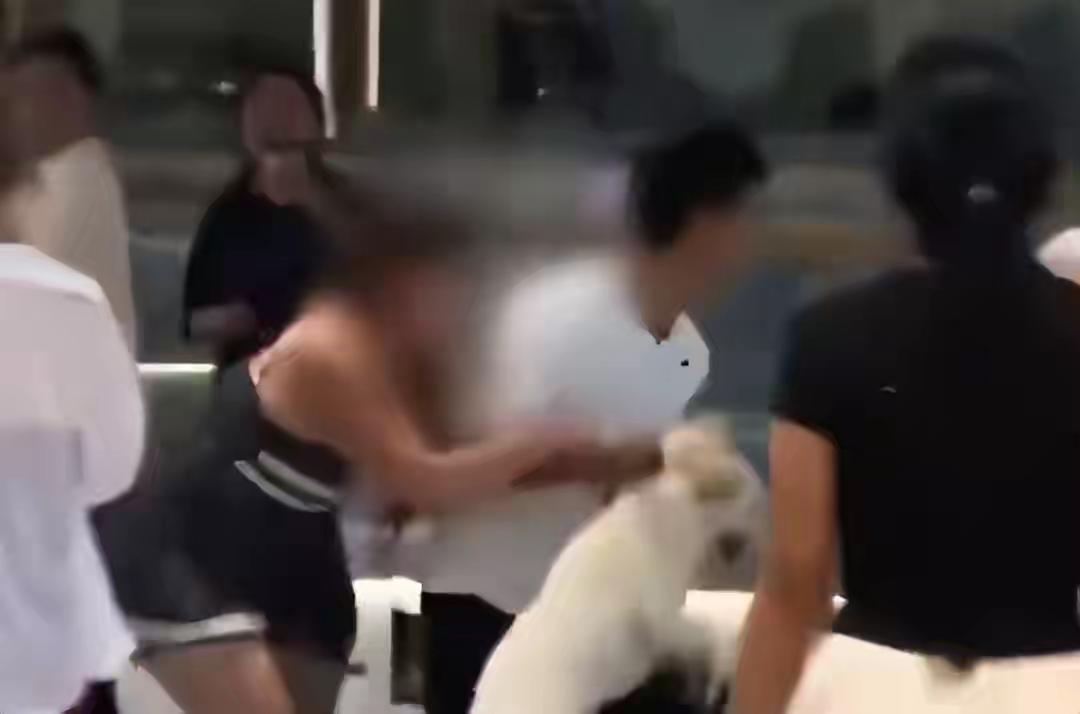 全网吵疯！不拴绳狗主人拒不道歉，男子摔狗扇人，到底谁错了？
 
长沙商场一幕，彻