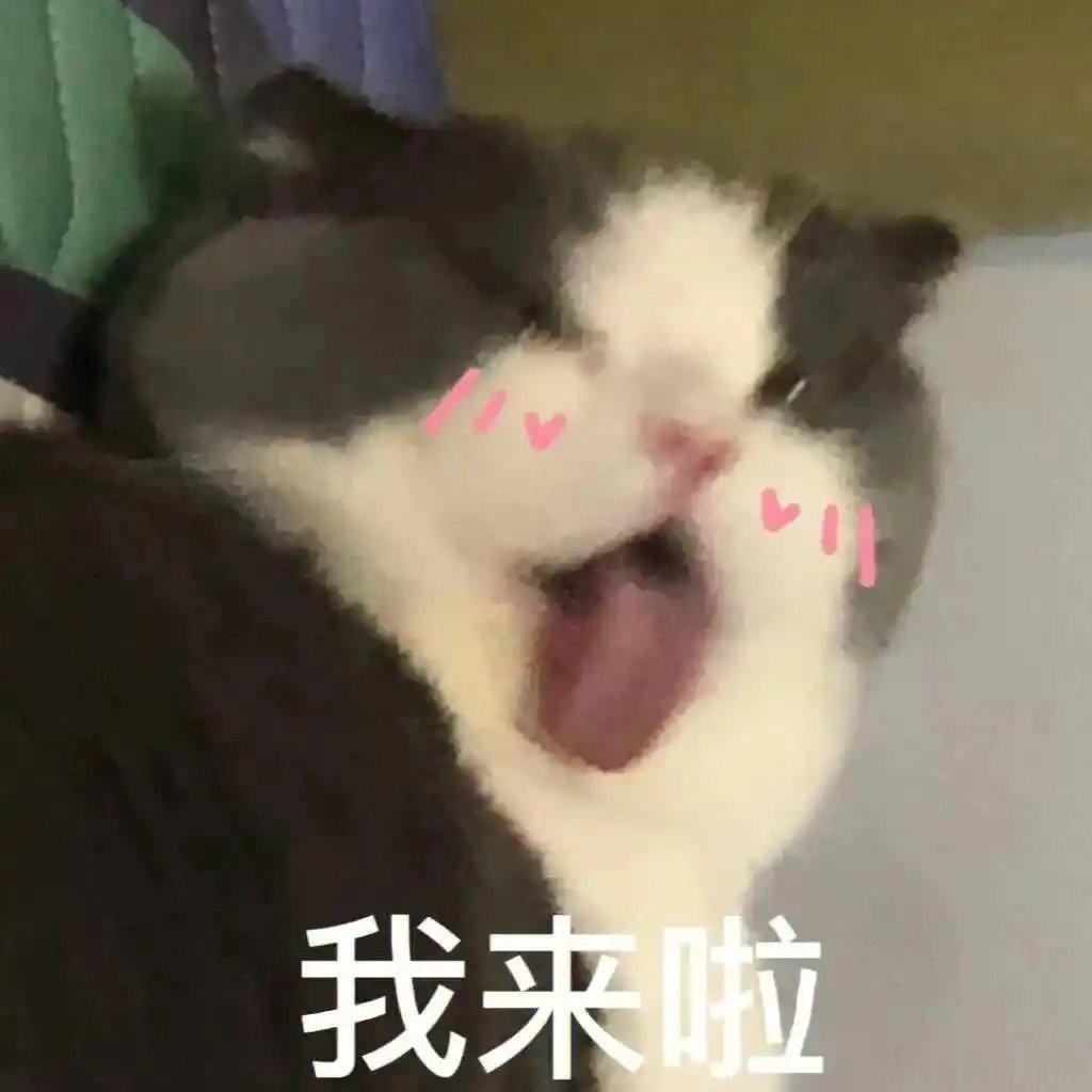 华为MatePadAir和iPadAir怎么选更值 华为MatePad Air云
