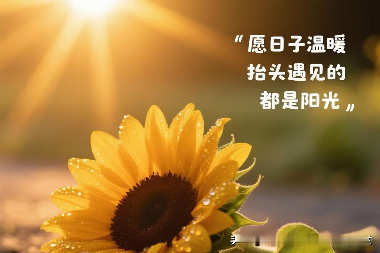 🇨🇳刚看完《给阿嬷的情书》，感触颇深。晓伟从小被阿嬷疼爱，长大后生意失败走投