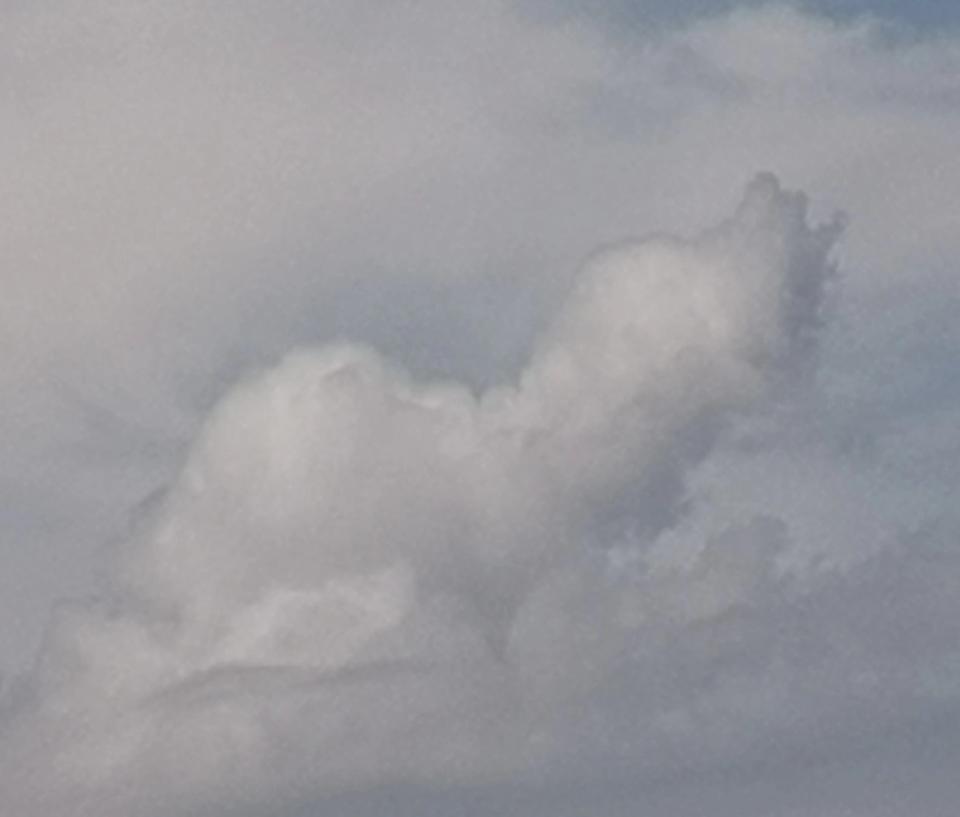 仲夏​山丹采访之一：
​
​细雨伴爽去山丹
坐在​动车观风景

大西北网讯：记者