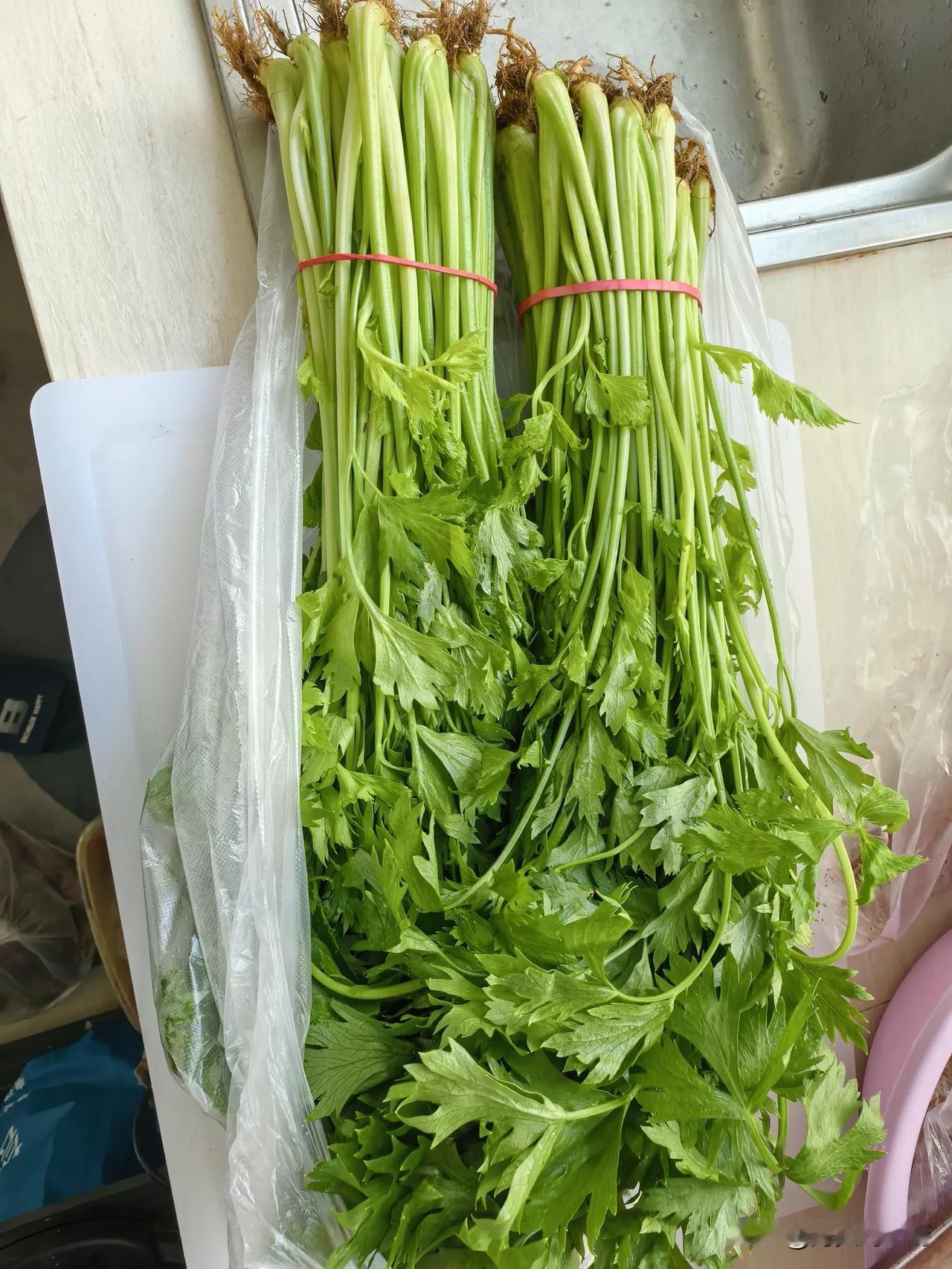我能做的，就是搭把手，帮着他一起琢磨，出出主意，年龄大了毕竟有经验，他遇到难题，