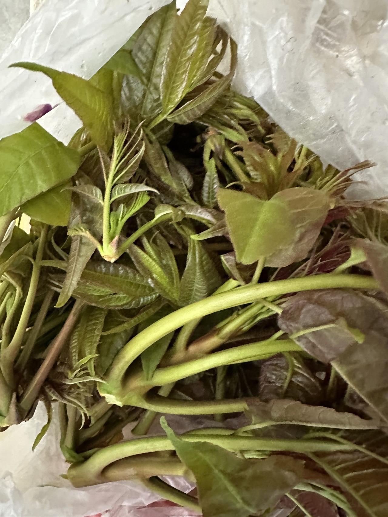 好久没去农贸市场了，今儿一去，被齐刷刷的野菜惊艳到了！你认得到这些大自然的馈赠吗