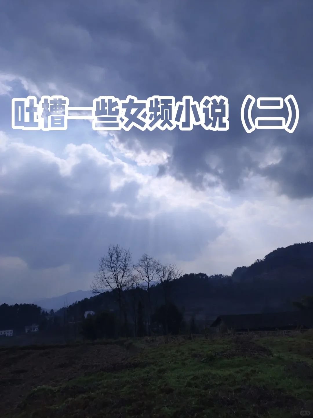 吐槽一些女频小说（二）