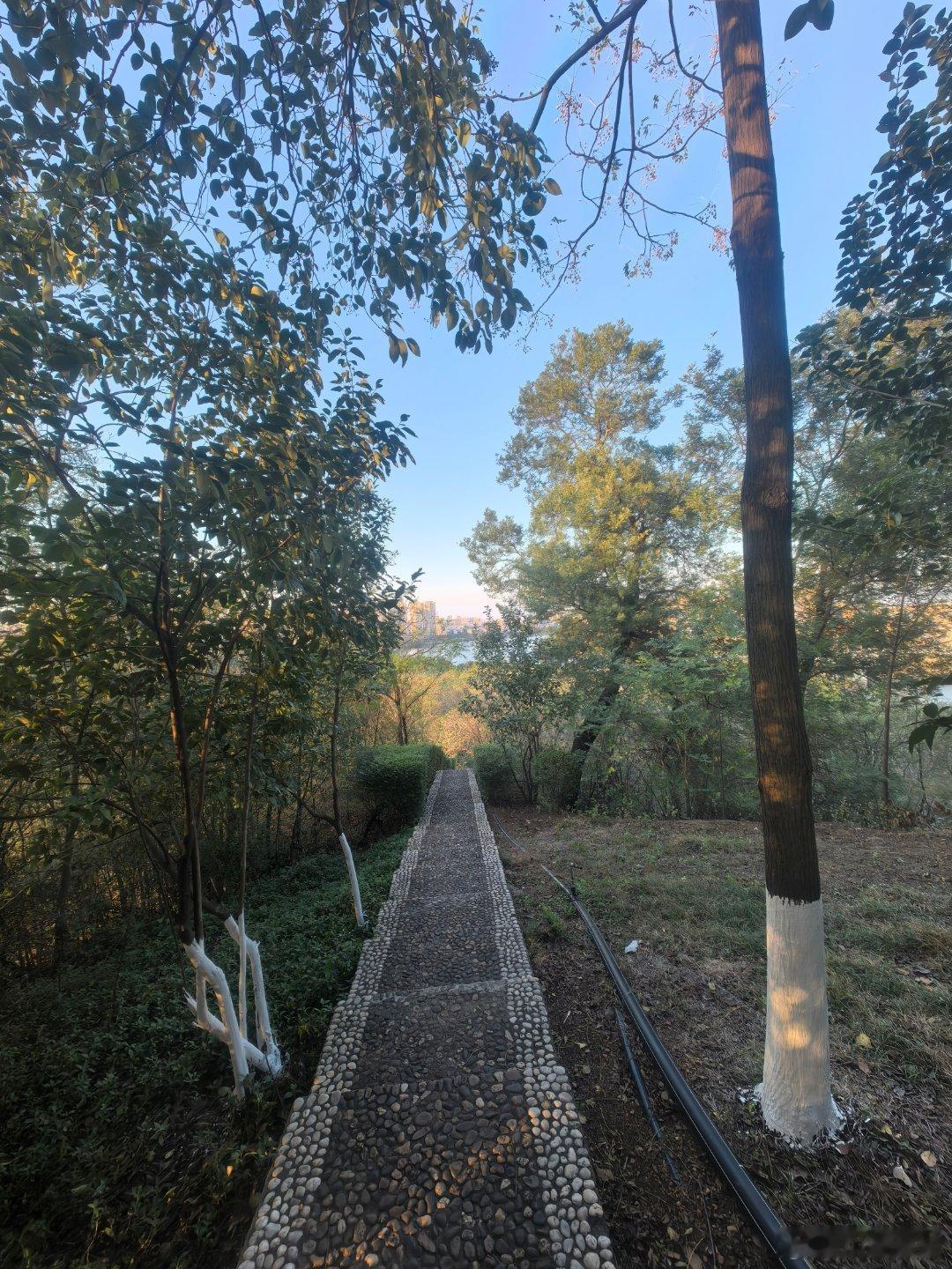 爬个山丘 
