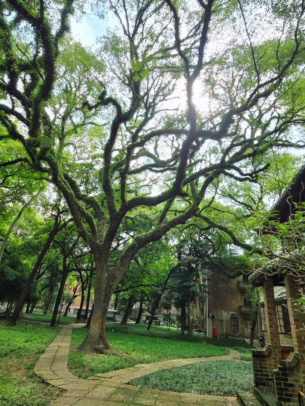 广州街道景色 镜头下的广州 看看你拍的广州 城市观察员 城市.街拍   广州城区