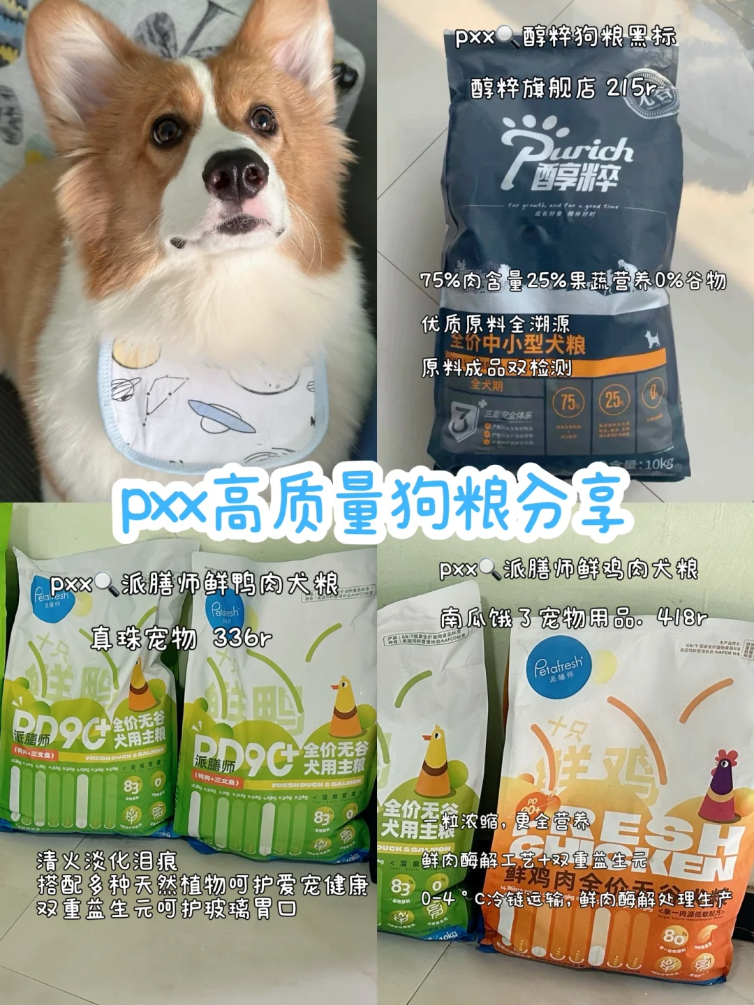 高质量狗粮分享