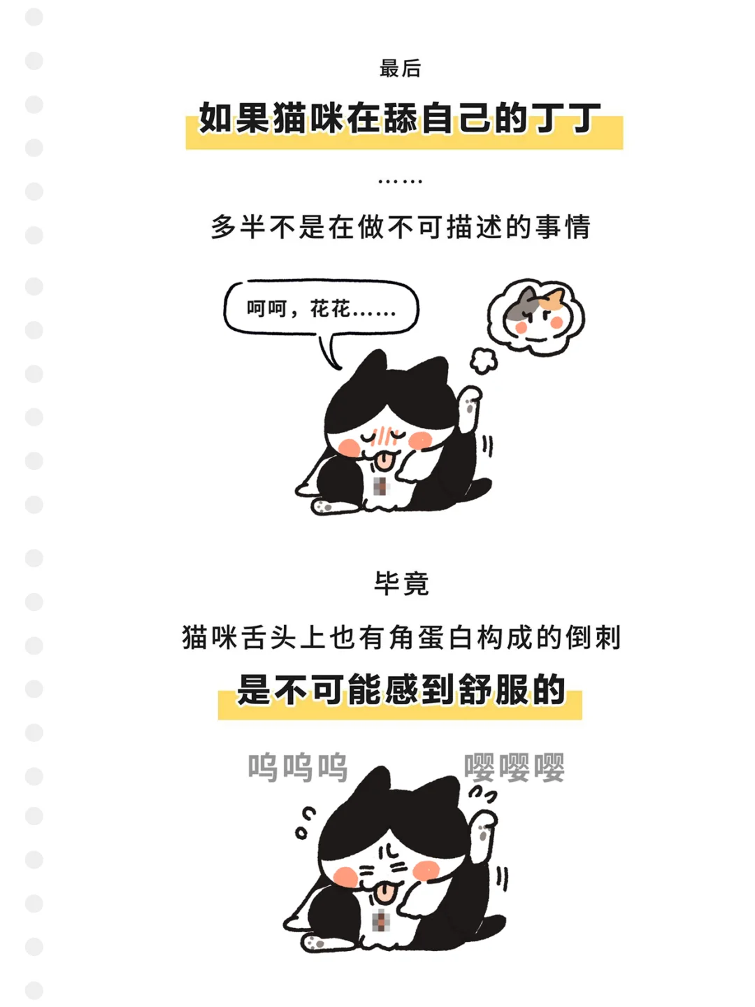 小猫咪的丁丁为什么那么小？