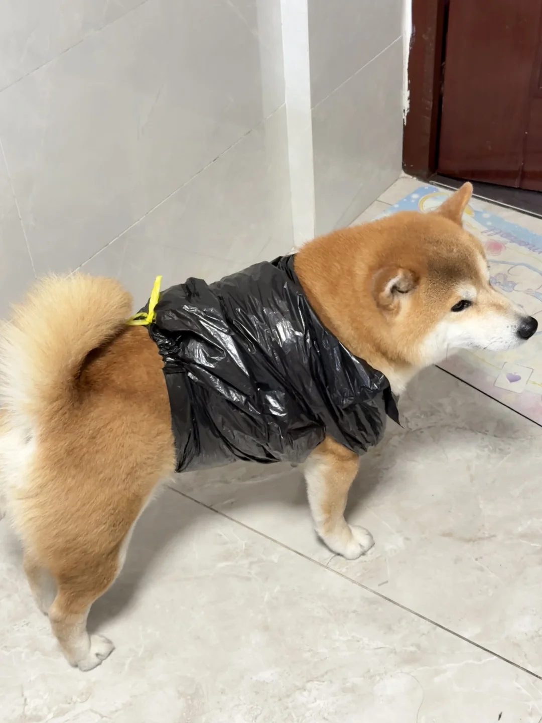 垃圾袋战神出街通通闪开