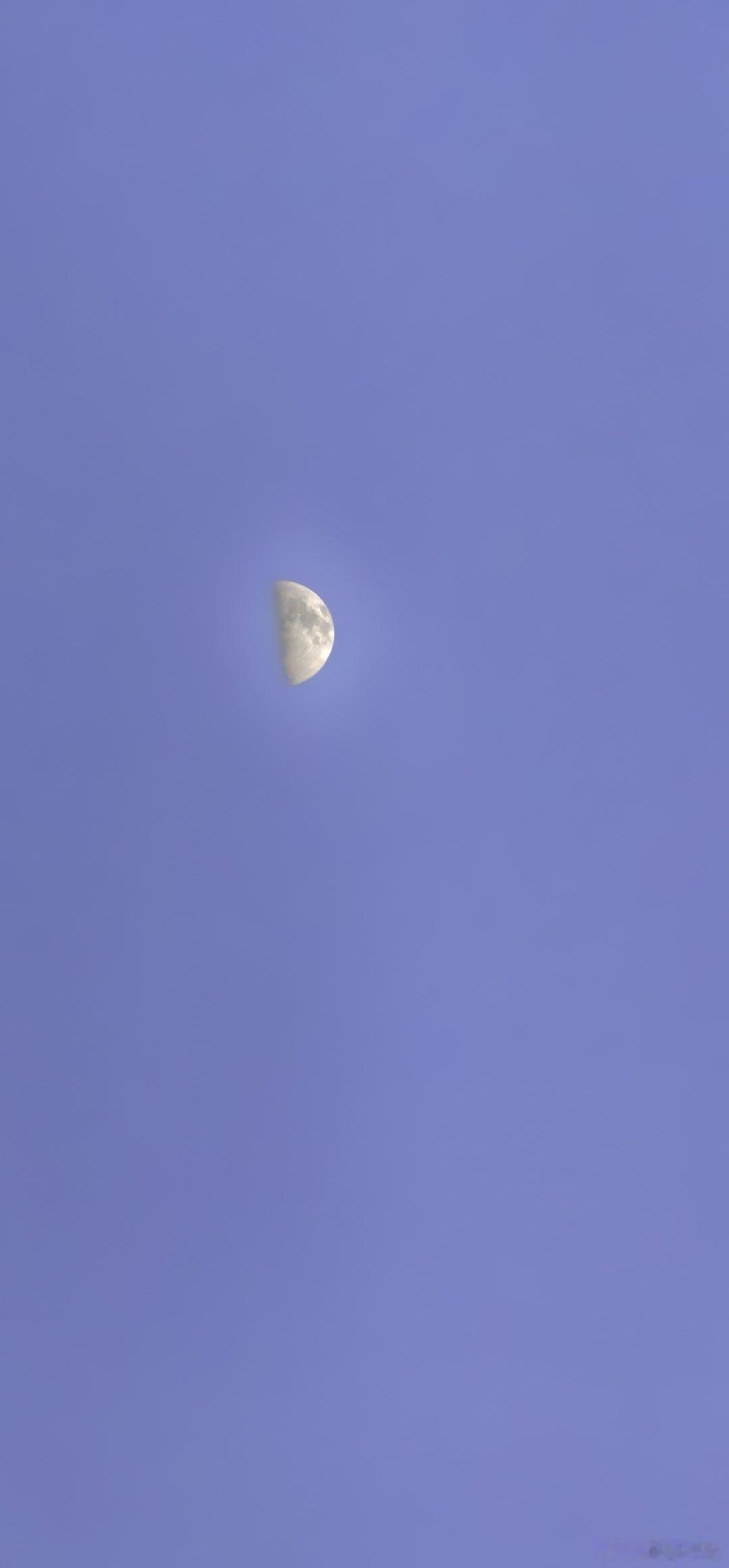 玉渊潭公园随手拍，无目标漫步的记录  摄影