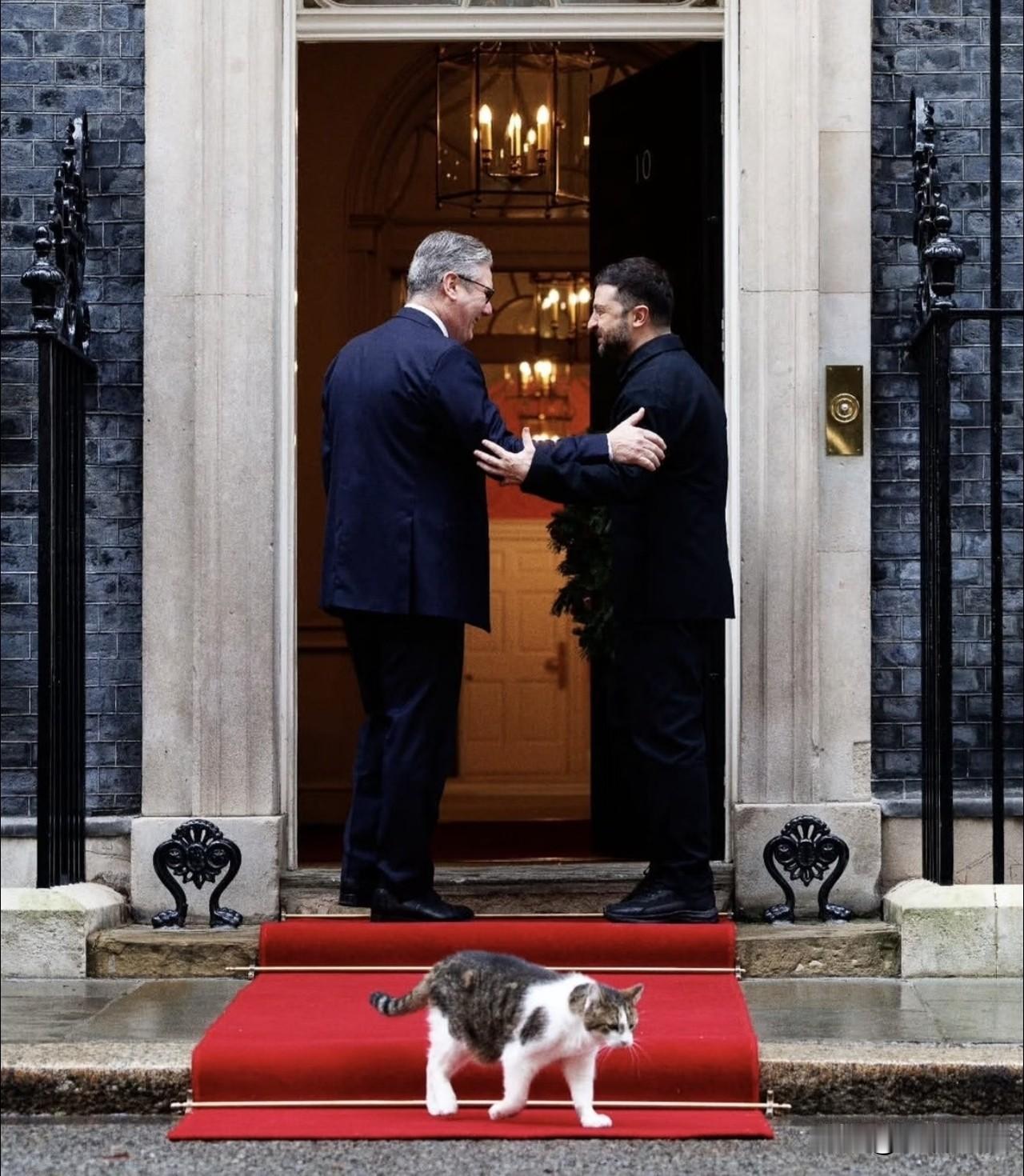 英国这只叫拉里的狸花猫是首席捕鼠官，现在斯塔默宣布辞职，于是拉里又熬走了一任首相