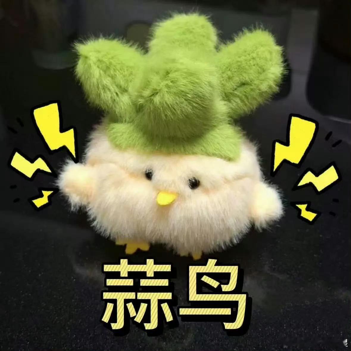 昨天招标结果下来了，我们在新年度续签合同的项目里失利了。客户是我公司比较重要的一