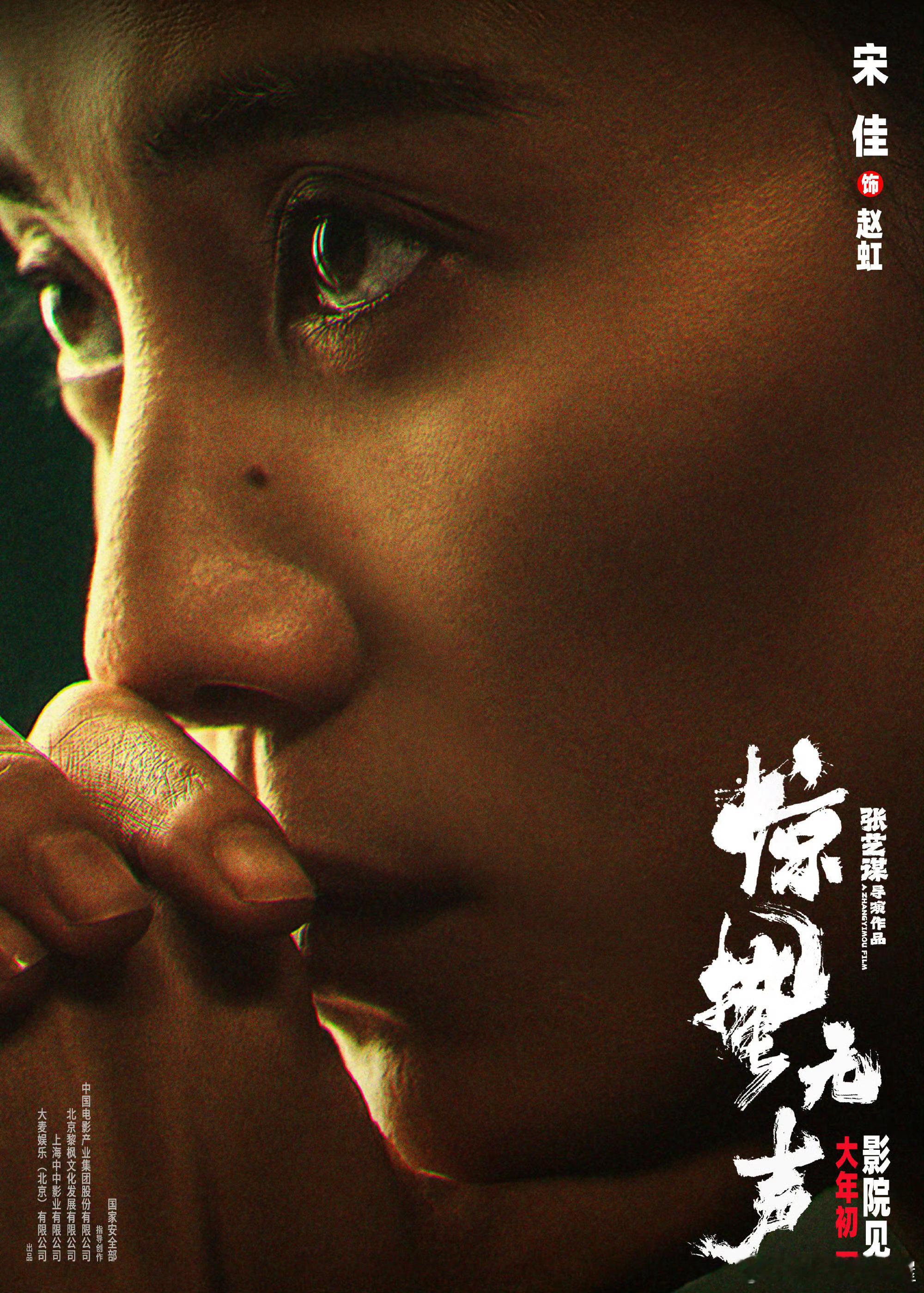 宋佳《惊蛰无声》怼脸海报🈶赵虹准备行动大年初一，一起看《惊蛰无声》！宋佳惊蛰无
