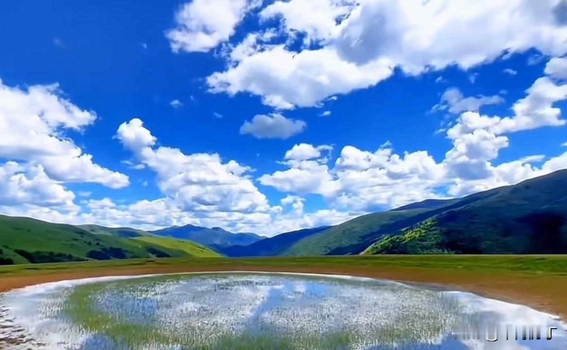 秋霜枝叶枯。